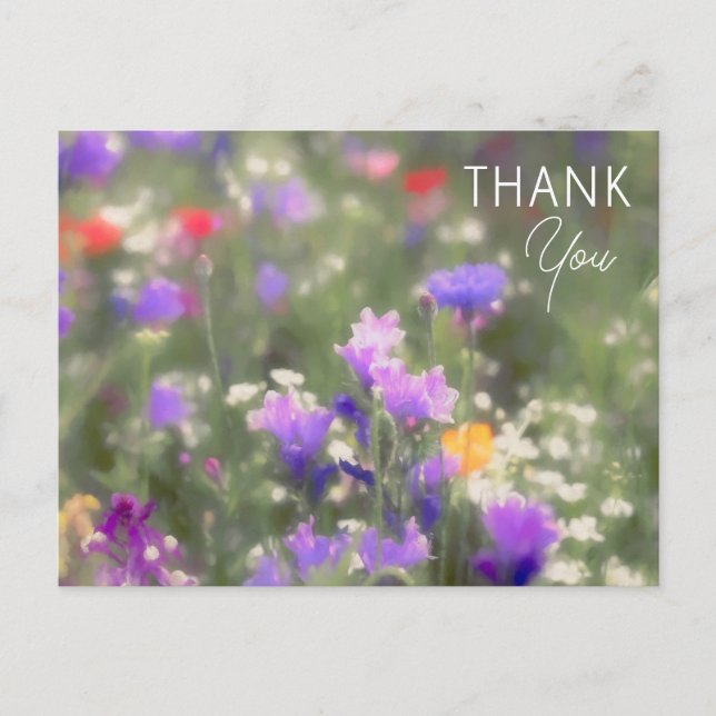 Wildflowers Postcard (Front)