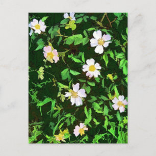 WILDFLOWERS POSTCARD