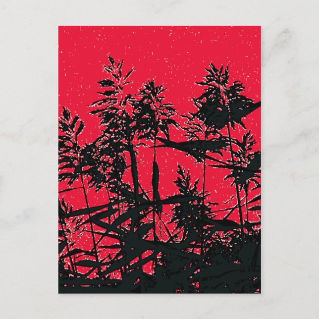 WILDFLOWERS POSTCARD (Front)