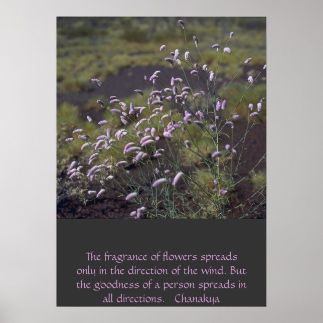 wildflowers poster (Front)
