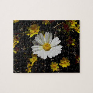 Wildflowers Puzzle