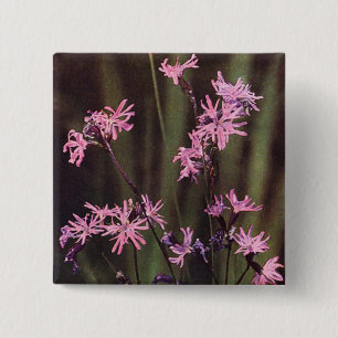 Wildflowers: Ragged Robin 15 Cm Square Badge