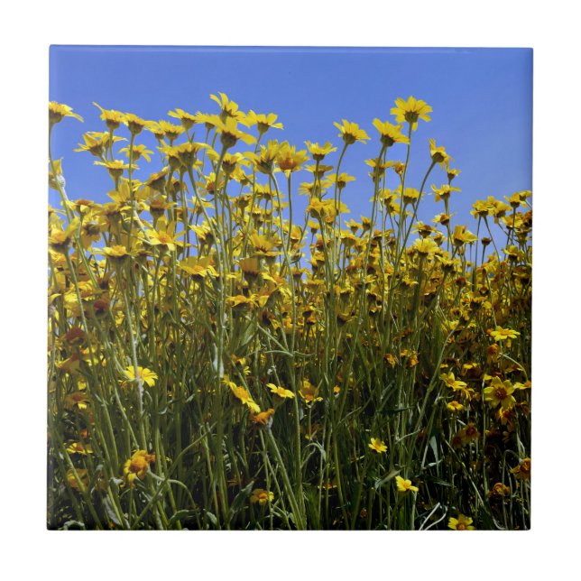 Wildflowers Sunflowers Tile (Front)
