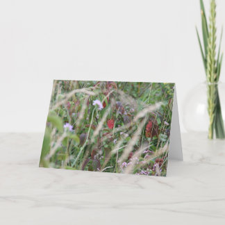 Wildflowers, Surrey Hills Greeting Card