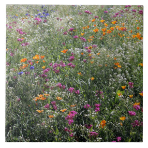Wildflowers Tile Large 6" x 6"