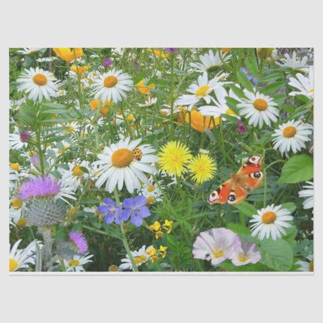 Wildflowers Tissue Paper (Front)