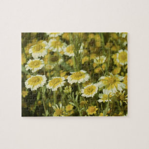 Wildflowers Yellow and White Jigsaw Puzzle