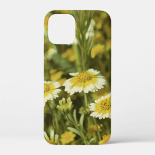 Wildflowers Yellow and White Sunflowers iPhone 12 Mini Case