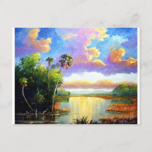 Wildl Florida Country Postcard