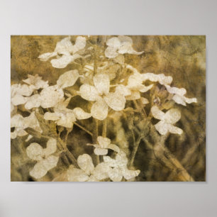 Wildlflowers Poster