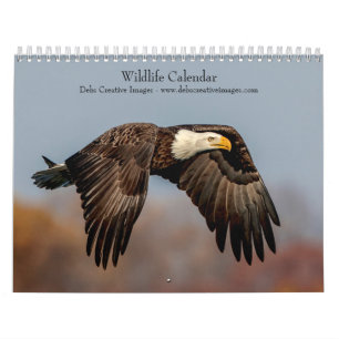 Wildlife 2025 calendar