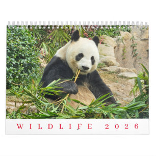 Wildlife 2026 calendar