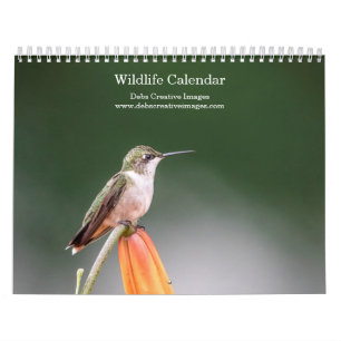 Wildlife 2026 calendar