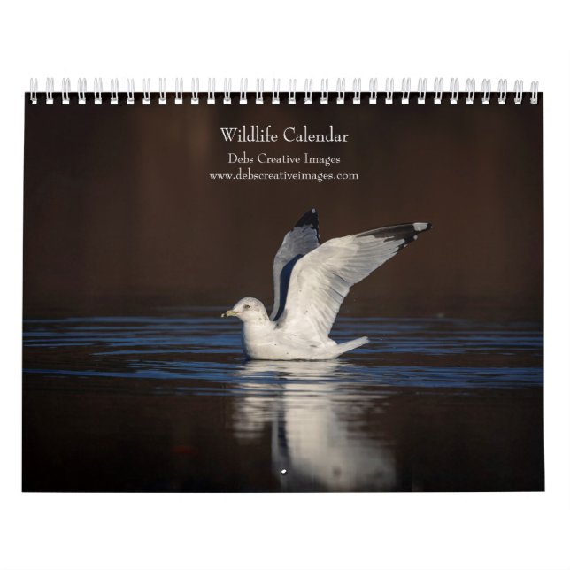 Wildlife 2026 calendar (Cover)