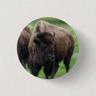 Wildlife  3 cm round badge
