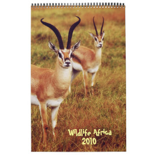 Wildlife Africa calendar 2010 - African safari