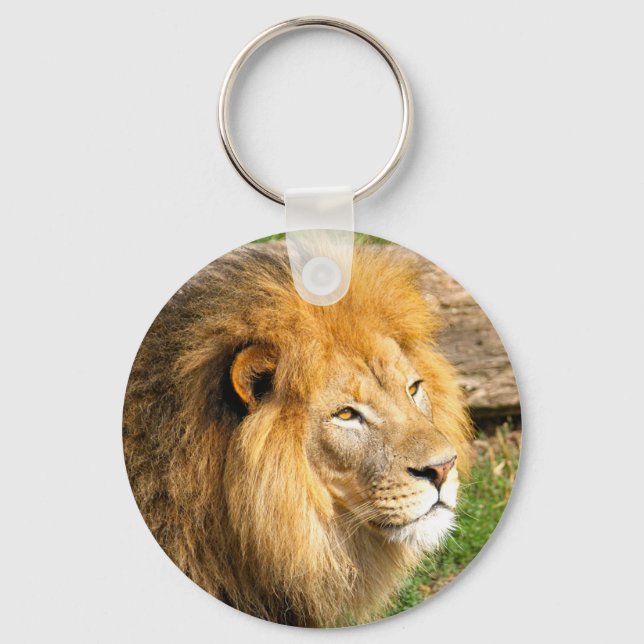 Wildlife African Lion Photo Key Ring (Front)