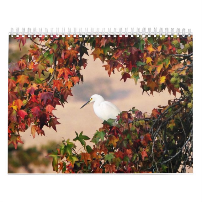 Wildlife and Birds Calendar (Cover)