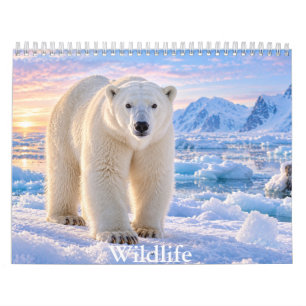 Wildlife Animals Scenic Nature Calendar