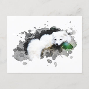 *~* Wildlife AP18 Snow Arctic White Polar Fox Postcard