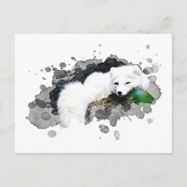 *~* Wildlife AP18 Snow Arctic White Polar Fox Postcard (Front)