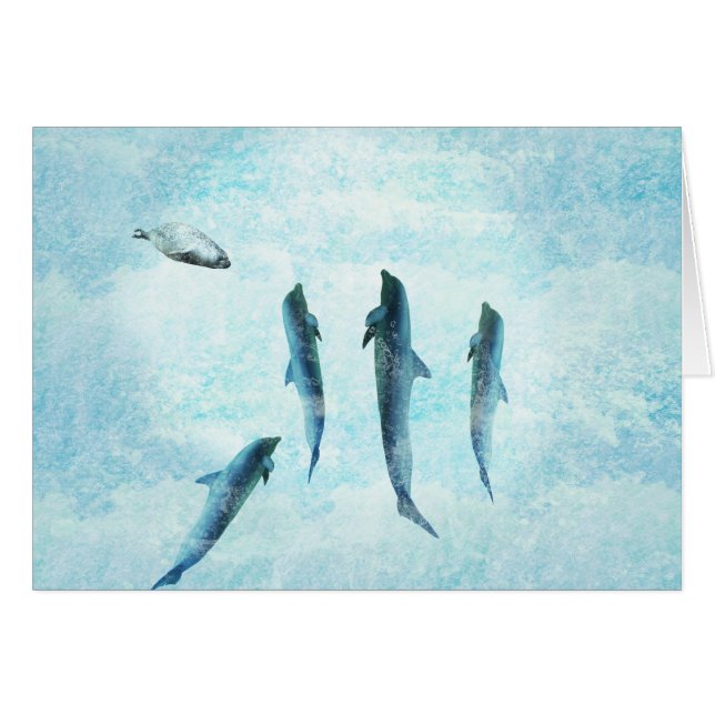 wildlife aquatic, dancing dolphins (Front Horizontal)
