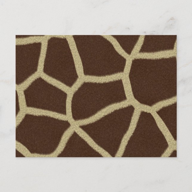 Wildlife Art Postcard (Front)