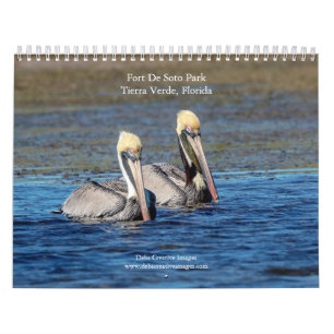 Wildlife at Fort De Soto Park 2026 Calendar