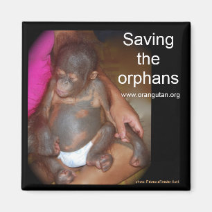 Wildlife Babies: Save the orphans Magnet