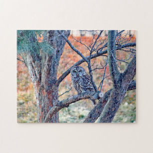 Wildlife Barred Owl Tree Photo Jigsaw Puzzle