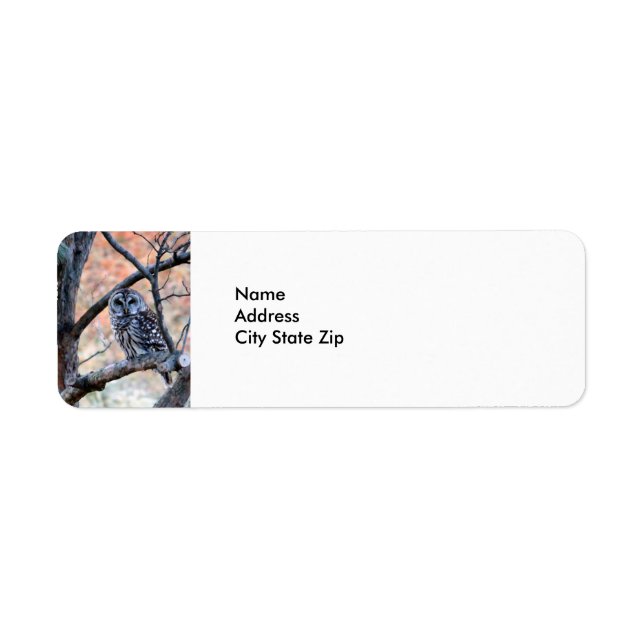 Wildlife Barred Owl Tree Photo Return Address Label (Front)