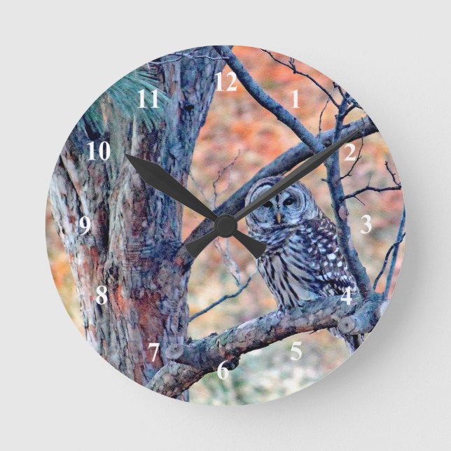 Wildlife Barred Owl Tree Photo Round Clock (Front)