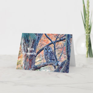 Wildlife Barred Owl Tree Photo Sympathy Card