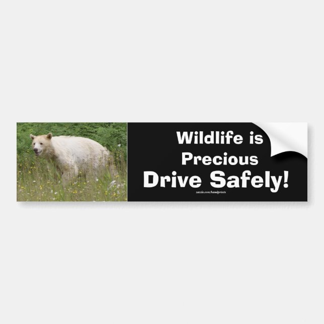 Wildlife Bears Animal-lovers Design Bumper Sticker (Front)