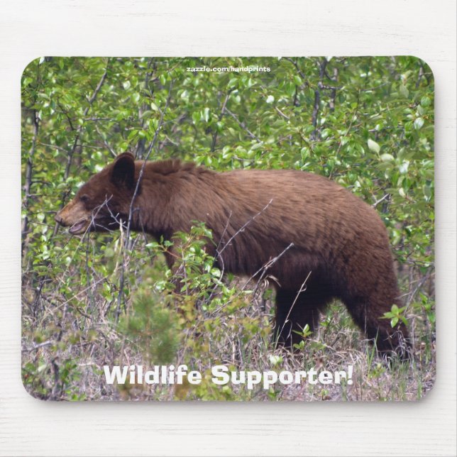 Wildlife Bears Animal-lovers Design Mouse Pad (Front)