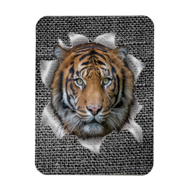 Wildlife Bengal Tiger Magnet (Vertical)