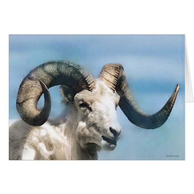 Wildlife-Big Horn (Front Horizontal)