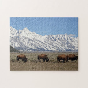 Wildlife Bison Mountains Snow Photo Jigsaw Puzzle