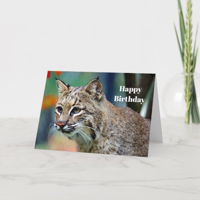 Wildlife Bobcat Photo Birthday Card (Front)