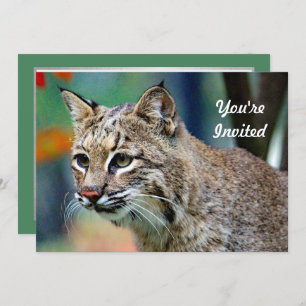 Wildlife Bobcat Photo Birthday Invitation