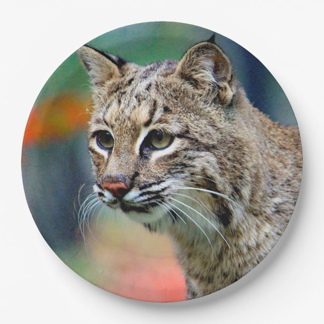 Wildlife Bobcat Photo Paper Plate (Front)