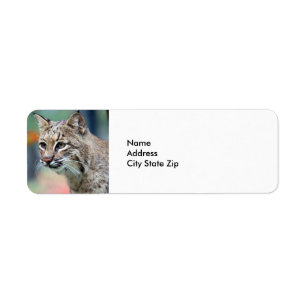 Wildlife Brown Bobcat Lynx Return Address Label
