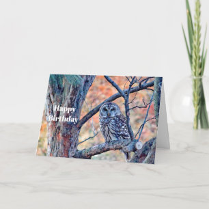 Wildlife Brown Owl Tree Birthday Card