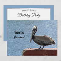 Wildlife Brown Pelican Water Photo Birthday