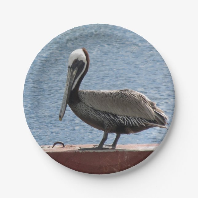 Wildlife Brown Pelican Water Photo Paper Plate (Front)