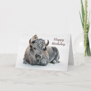 Wildlife Buffalo Snow Photo Birthday Card