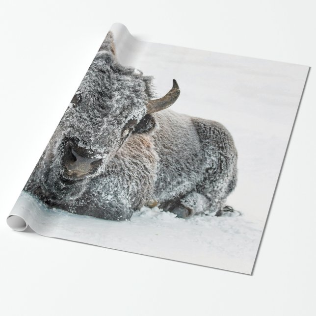 Wildlife Buffalo Snow Photo Wrapping Paper (Unrolled)
