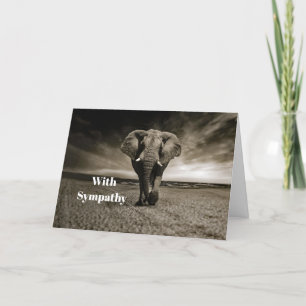 Wildlife Bull Elephant Photo Sympathy Card