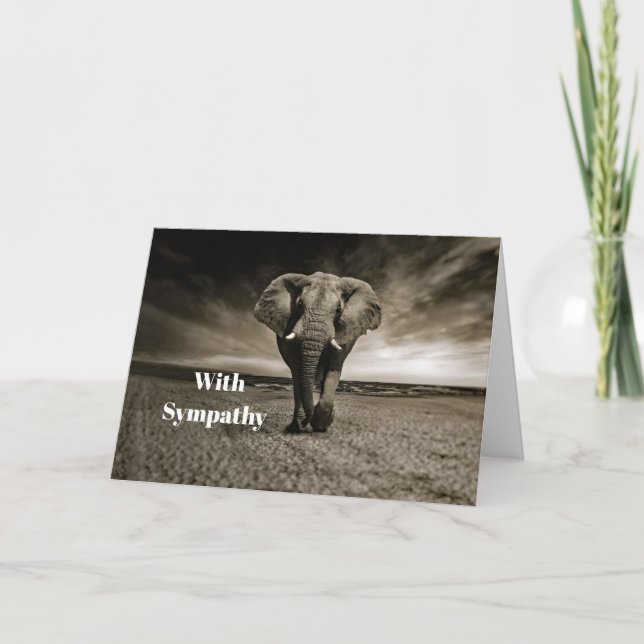 Wildlife Bull Elephant Photo Sympathy Card (Front)