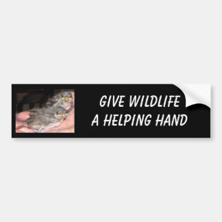 Wildlife Bumper Sticker
